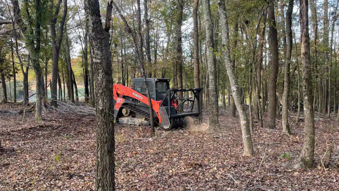 Forestry Mulching (1)