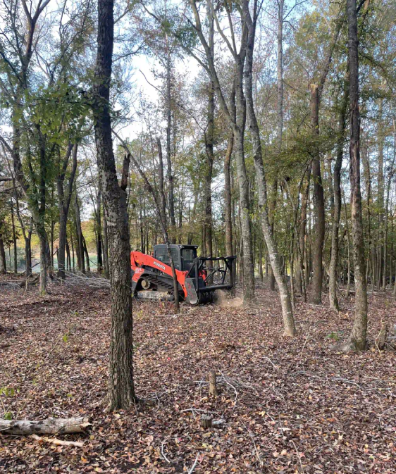 Forestry Mulching